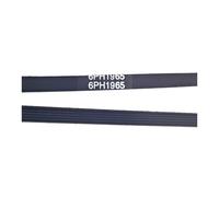 6PH1965 Belts Washing Machine Or Dryer Belt 1965mm 6ph/6ph1965/1965h6/481235818186