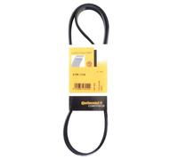 Contitech 6PK1110 V-Ribbed Belts