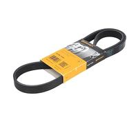 Multi-ribbed V-belt 6PK1220 CONTINENTAL CTAM for CADILLAC TOYOTA