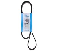 Contitech 6PK1448 Loose Multi-V Belt