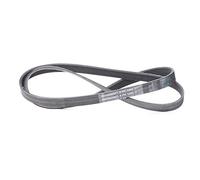 6PK1460 CONTITECH DRIVE BELT OE QUALITY