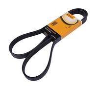 6PK1555 CONTITECH DRIVE BELT OE QUALITY, Black/White