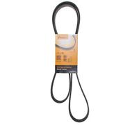 Multi-ribbed V-belt 6PK1795 DAYCO for FIAT OPEL SAAB VOLVO CHEVROLET ALFA ROMEO