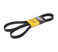 ContiTech Multi-ribbed V-belt 6PK1870 for VW BMW Mitsubishi Toyota CONTINENTAL CTAM