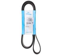 CONTITECH 6PK1905 Serpentine belt