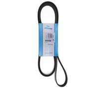 CONTITECH 6PK2205 V-ribbed belt