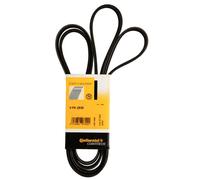 Multi-ribbed V-belt 6PK2535 CONTINENTAL CTAM for MERCEDES-BENZ AUDI