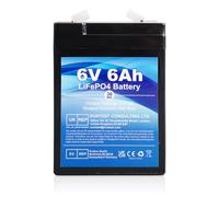 6V 6Ah LiFePO4 Rechargeable Battery with BMS Protection, 2000 Deep Cycle, Maintenance-Free, LiFePO4 Battery for Emergency Lighting, Children's Toy Cars, Camping, Motorboats, Solar Panels, E-Bikes