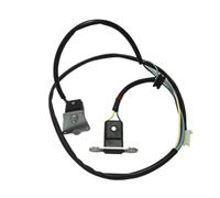 6V Ignition Coil Motorcycle Motorcycle CBT125 CM125 DD250 CA250 Magneto Trigger Sensor/Ignition Pick Up Coil For 125cc CBT 125 Pulse Parts