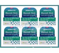 Derma V10 Blemish Stick