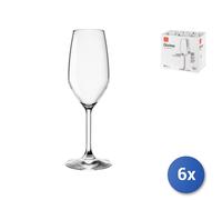 6X Divine Transparent Glass Flute, 24Cl