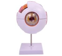 6X Enlarged Eye Model 7-Part Detachable Eyeball Anatomy Model with Stand, Human Anatomy Teaching Tool for Science Classroom, Biology or Medical Display