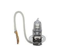 BOSCH TRUCK/LT H3 24V 70W PK22S - 1987302431