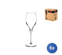 6x Flute Glasses In Glass, Montecarlo, 13.5Cl, Transparent