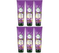 6x Herbal Essences Bio Renew NOURISH Passion Flower Conditioner, 275ml