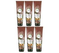6x Herbal Essences Hydrate Coconut Milk Conditioner 275ml to Deeply Nourish Very Dry Hair
