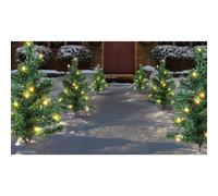 6x Light Up Prelit Artificial Pine Indoor/Outdoor Pathway Christmas Trees Warm W