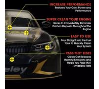 6X Nitrox Clean Cat Petrol Fuel And Exhaust System Cleaner 500Ml Additive Treatment