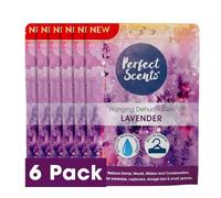 6x Perfect Scents Hanging Dehumidifier Scented - 180g (Lavender)