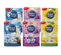 6x Perfect Scents Hanging Dehumidifier Scented - 180g (Mix)