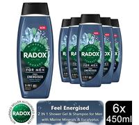 6x Radox Mineral Therapy Feel Energised 2in1 Shower Gel & Shampoo for Men, 450ml