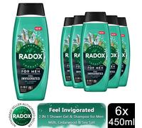 6x Radox Mineral Therapy Feel Invigorated Shower Gel & Shampoo for Men, 450ml