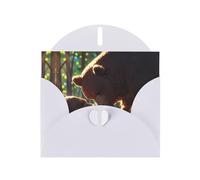 6x4 inch Big Brown Bear White prints greeting card with envelope, suitable for birthday wishes, wedding congratulations