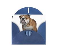 6x4-inch Blue English-Bulldog print Greeting Card Set with Envelope - Wedding/Birthday Invitations