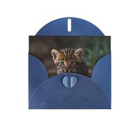 6x4 inch Leopard kitten Blue prints greeting card with envelope, suitable for birthday wishes, wedding congratulations