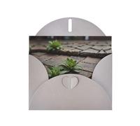 6x4 inch Plants growing Gray prints greeting card with envelope, suitable for birthday wishes, wedding congratulations
