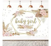 6x4FT Baby Shower Backdrop A Sweet Baby Girl is on The Way Pink Boho Floral Pampas Grass Photography Background Newborn Baby Shower Birthday Party Cake Table Decorations Banner Photo Booth Props