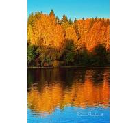 6x9" Suomi Finland Autumn River Notebook. Lined white paper. 120 pages. Glued Spine.: For Journaling, Note Taking, School, Office, University, Home.