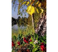 6x9" Suomi Finland Lake Berries Notebook. Lined white paper. 120 pages. Glued Spine.: For Journaling, Note Taking, School, Office, University, Home.