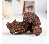 7-10.5oz Dinosaur Feces (Will Fade Slightly) Gemstone Stone