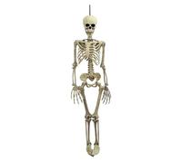 7./240cm Halloween Skeleton Life Size Skeleton Full Body Plastic Human Skeleton with Adjustable Joints for Halloween Outdoor Indoor Decoration Jmq809 (White, 90cm)