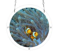 7.5'' acrylic puzzles suncatcher, Coral Reef Clown Fish