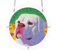7.5'' acrylic suncatcher puzzles, fat dog dopamine color