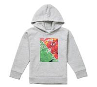 (7-8 Years, Athletic Heather) Marvel Childrens/Kids The Hulk Vs Red Hulk Pull Over Hoodie