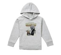 (7-8 Years, Athletic Heather) Star Wars Childrens/Kids Legend Continues Grogu Heather Hoodie