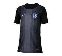 (7-8 Years, Black/Grey) Nike Childrens/Kids Stadium 2025/26 Chelsea FC Goalkeeper Jersey