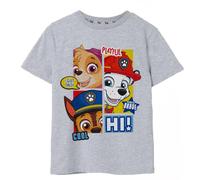 (7-8 Years, Grey Marl) Paw Patrol Boys Peekaboo T-Shirt