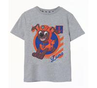 (7-8 Years, Grey Marl) Paw Patrol Boys Zuma Short-Sleeved T-Shirt