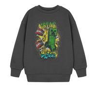 (7-8 Years, Grey) Minecraft Boys Having A Blast Sweatshirt