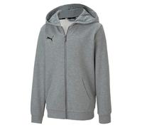(7-8 Years, Grey) Puma Mens TeamGoal 23 Casuals Hooded Jacket