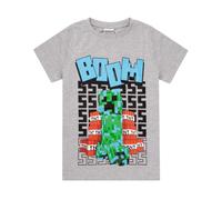 (7-8 Years) Minecraft Short Sleeved T-Shirt (Boys Grey)