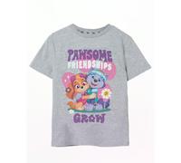 (7-8 Years) Paw Patrol Short Sleeved T-Shirt (Unisex Kids Grey)