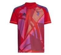 (7-8 Years, Red) Adidas Childrens/Kids Juventus FC Goalkeeper Jersey
