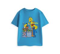 (7-8 Years) Sesame Street Short Sleeved T-Shirt (Unisex Kids Blue)