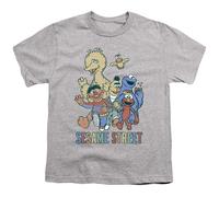 (7-8 Years, Sports Grey) Sesame Street Childrens/Kids Colourful Group T-Shirt