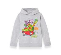 (7-8 Years) Teenage Mutant Ninja Turtles Hoodie (Boys Grey)
